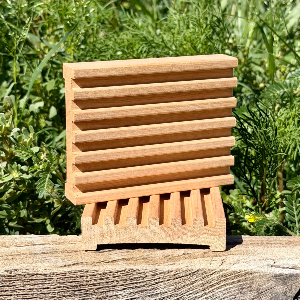 Alder Bastion - Wooden Soap Dish