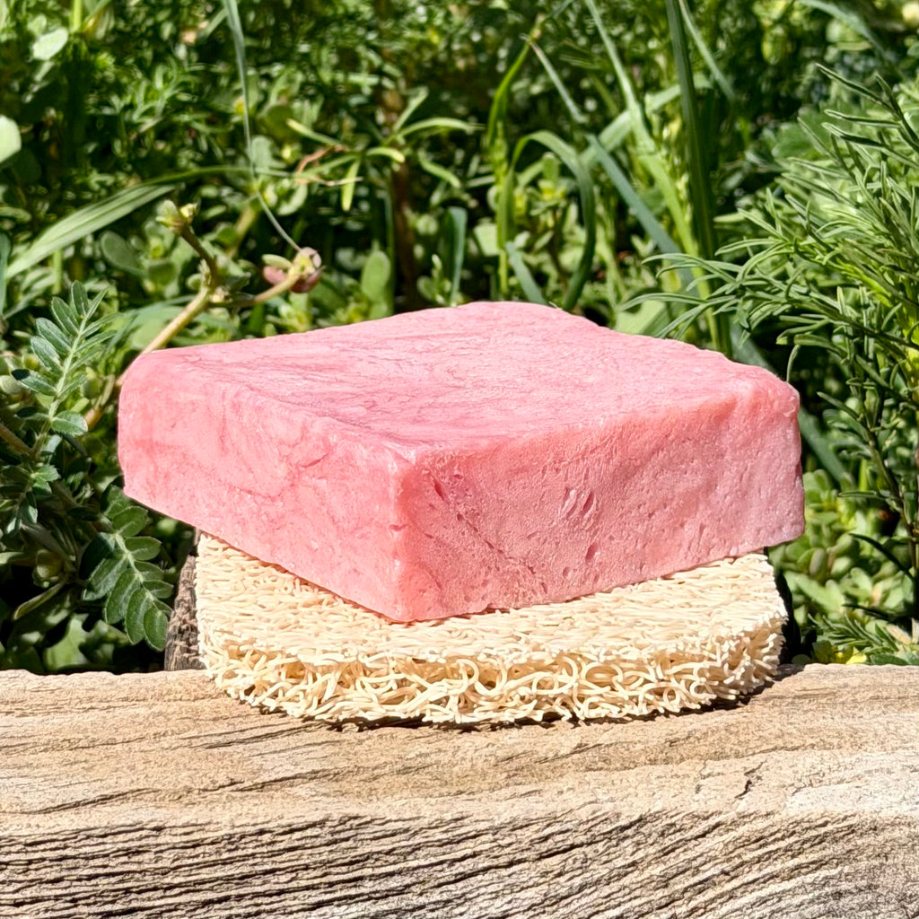 Squire's Lift - Draining Soap Saver Pad