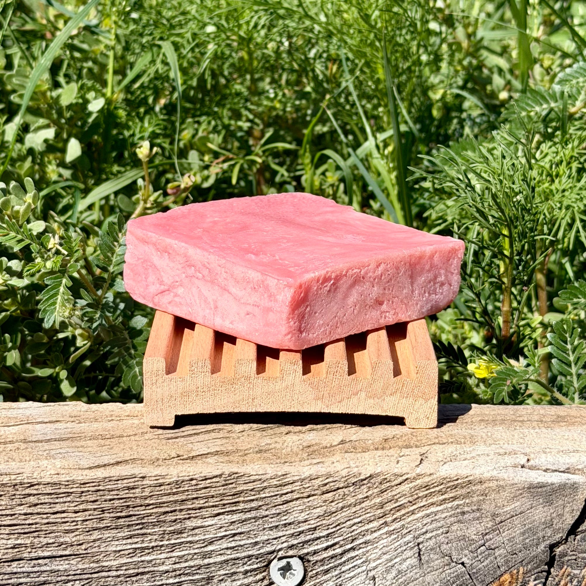 Alder Bastion - Wooden Soap Dish